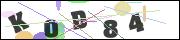 Spam bot protection (CAPTCHA)