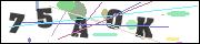 Spam bot protection (CAPTCHA)