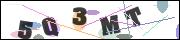 Spam bot protection (CAPTCHA)