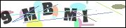 Spam bot protection (CAPTCHA)