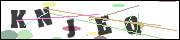 Spam bot protection (CAPTCHA)