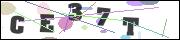 Spam bot protection (CAPTCHA)