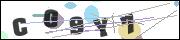 Spam bot protection (CAPTCHA)
