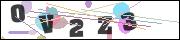 Spam bot protection (CAPTCHA)