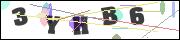 Spam bot protection (CAPTCHA)