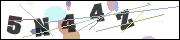 Spam bot protection (CAPTCHA)