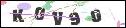 Spam bot protection (CAPTCHA)