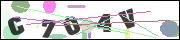 Spam bot protection (CAPTCHA)