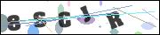 Spam bot protection (CAPTCHA)