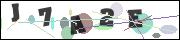 Spam bot protection (CAPTCHA)
