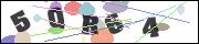 Spam bot protection (CAPTCHA)