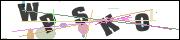 Spam bot protection (CAPTCHA)