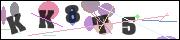 Spam bot protection (CAPTCHA)