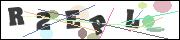 Spam bot protection (CAPTCHA)