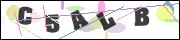 Spam bot protection (CAPTCHA)