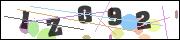 Spam bot protection (CAPTCHA)