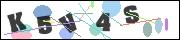 Spam bot protection (CAPTCHA)