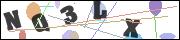 Spam bot protection (CAPTCHA)