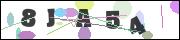 Spam bot protection (CAPTCHA)