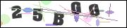 Spam bot protection (CAPTCHA)