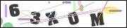 Spam bot protection (CAPTCHA)
