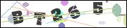 Spam bot protection (CAPTCHA)