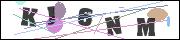 Spam bot protection (CAPTCHA)