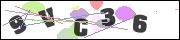 Spam bot protection (CAPTCHA)