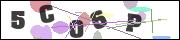 Spam bot protection (CAPTCHA)