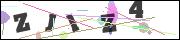 Spam bot protection (CAPTCHA)