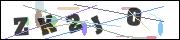Spam bot protection (CAPTCHA)