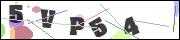 Spam bot protection (CAPTCHA)