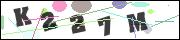 Spam bot protection (CAPTCHA)