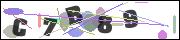 Spam bot protection (CAPTCHA)