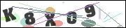 Spam bot protection (CAPTCHA)
