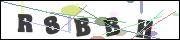 Spam bot protection (CAPTCHA)
