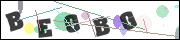 Spam bot protection (CAPTCHA)