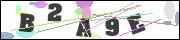 Spam bot protection (CAPTCHA)
