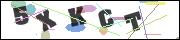 Spam bot protection (CAPTCHA)