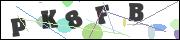 Spam bot protection (CAPTCHA)