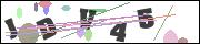 Spam bot protection (CAPTCHA)