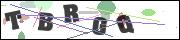 Spam bot protection (CAPTCHA)