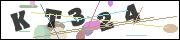 Spam bot protection (CAPTCHA)