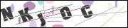 Spam bot protection (CAPTCHA)