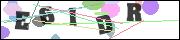 Spam bot protection (CAPTCHA)