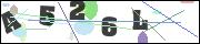 Spam bot protection (CAPTCHA)