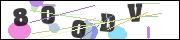 Spam bot protection (CAPTCHA)