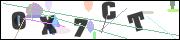 Spam bot protection (CAPTCHA)