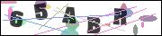 Spam bot protection (CAPTCHA)