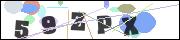 Spam bot protection (CAPTCHA)